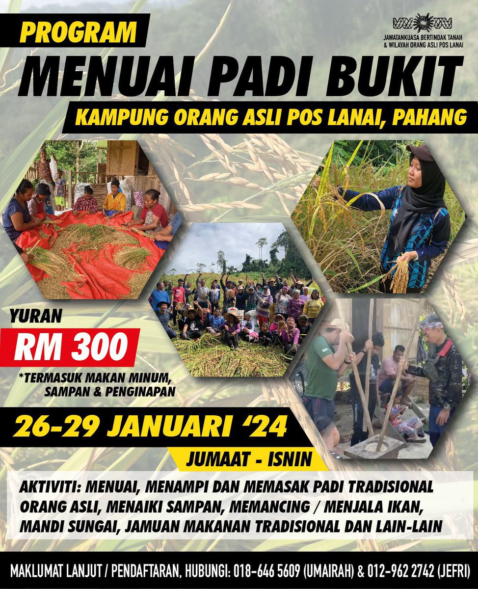 marinaristan's tweet photo. Imej: Poster untuk program menuai padi bukit di Kampung Orang Asli Pos Lanai, Pahang. Butir-butir dalam #TeksAlternatif .

#GunaTeksAlt 
#Kebolehcapaian https://t.co/pFuJ8MKr0Q
