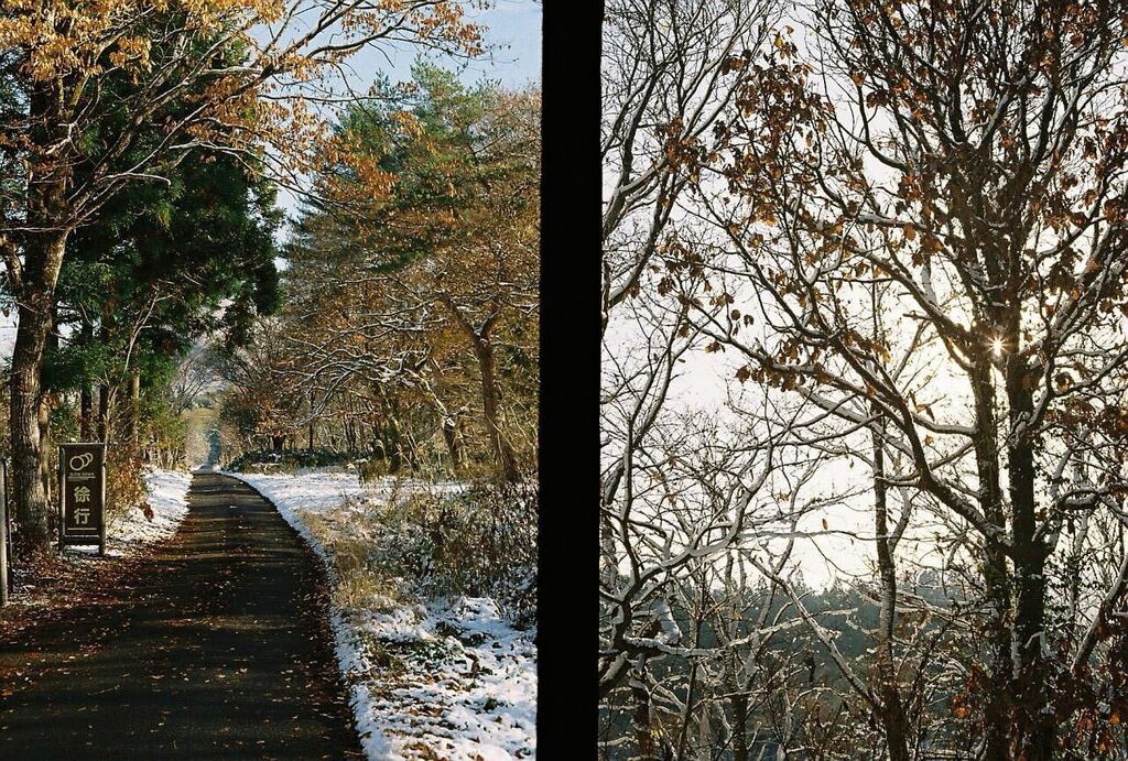 syaki_penf's tweet image. あの日の記憶。

#olympuspenf #film #ハーフカメラ #日々フィルム　#フィルム写真