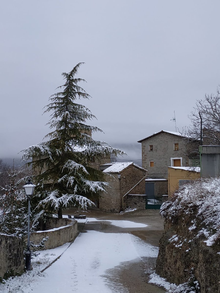 Carrasca de Lecina tweet media