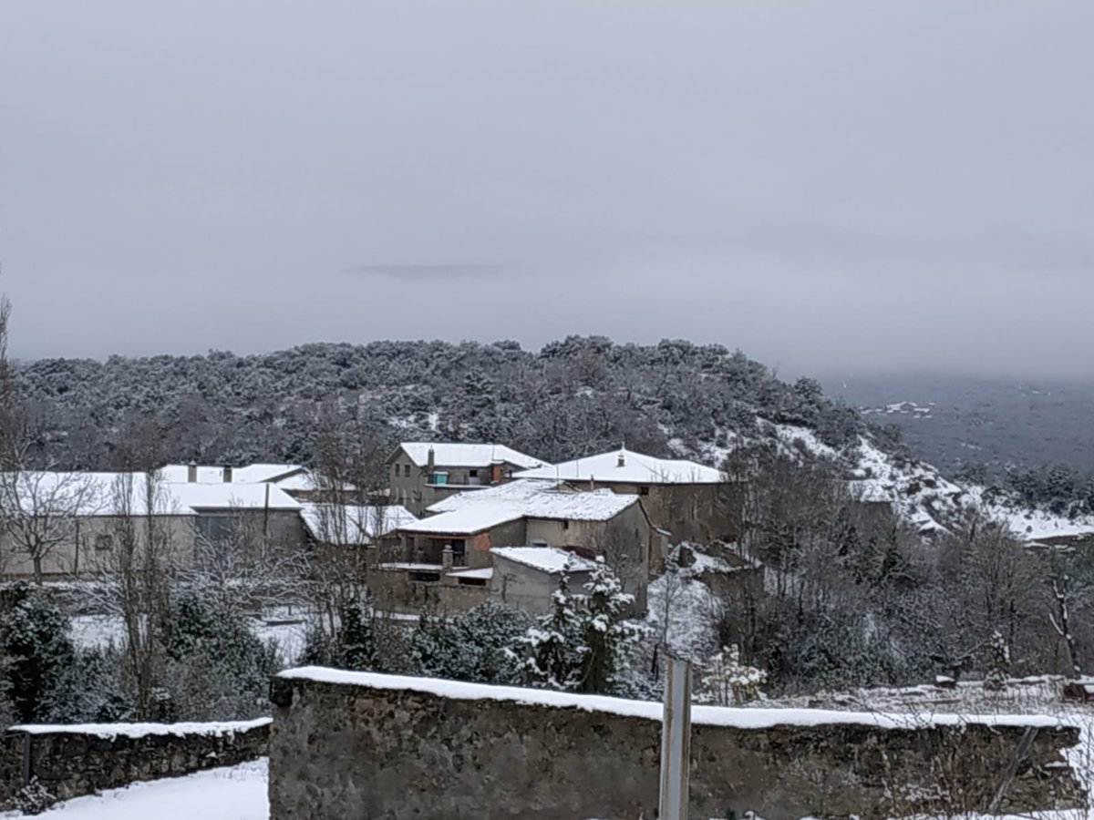 Carrasca de Lecina tweet media