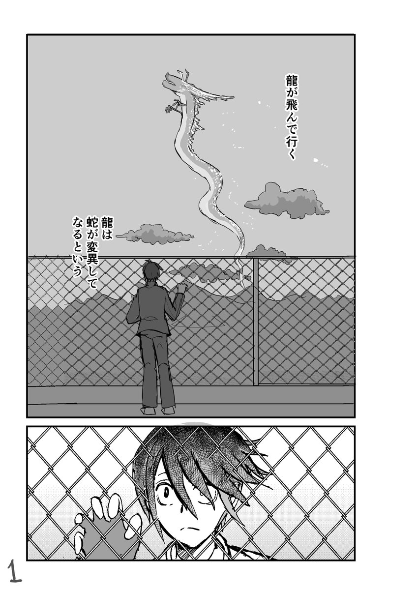 #漫画が読めるハッシュタグ 
創作漫画 「龍と蛇」14P

少年が龍🐉を見るはなし 