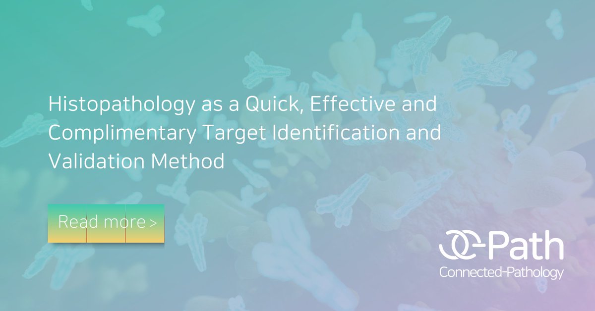 C_Pathology's tweet photo. In our most recent blog post, we provide a brief overview of how histopathology can be used as a quick and relatively efficient way to obtain initial data during the target identification and validation phase. Continue reading on our website: https://t.co/LTrQiRCDAE https://t.co/QawJWQiaJ2