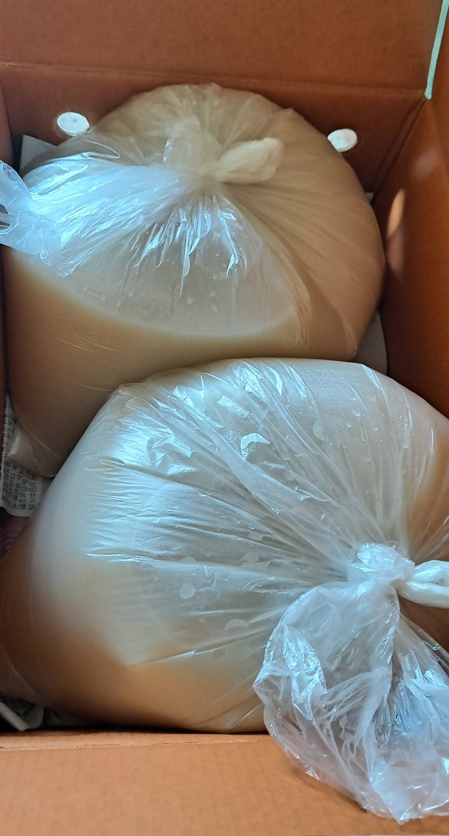 엄마가 곰국 끓이셨다고 가지러 오라고 하셔서 다녀왔다. 3일동안 마당에서 푹~~~고아진 곰국.
터지지않게 얌전히 운전해서 왔다.
집에와서 소분해서 냉동실에 넣어놨는데 양이 꽤 많다. 든든하다🙂