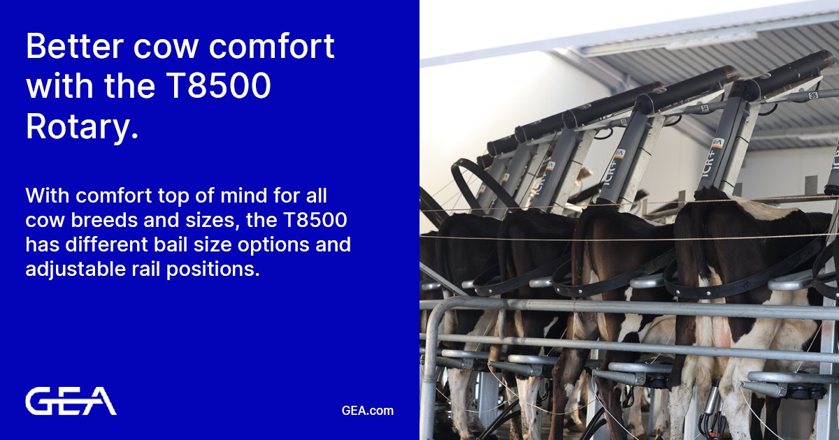 The GEA DairyRotor T8500 Rotary is designed specifically for pasture-based, renowned for being low maintenance and long-lasting, offering farmers a reliable rotary system with low running costs. #dairyfarming #geafarmtechnology #GEA ow.ly/PERe30sz2Mt