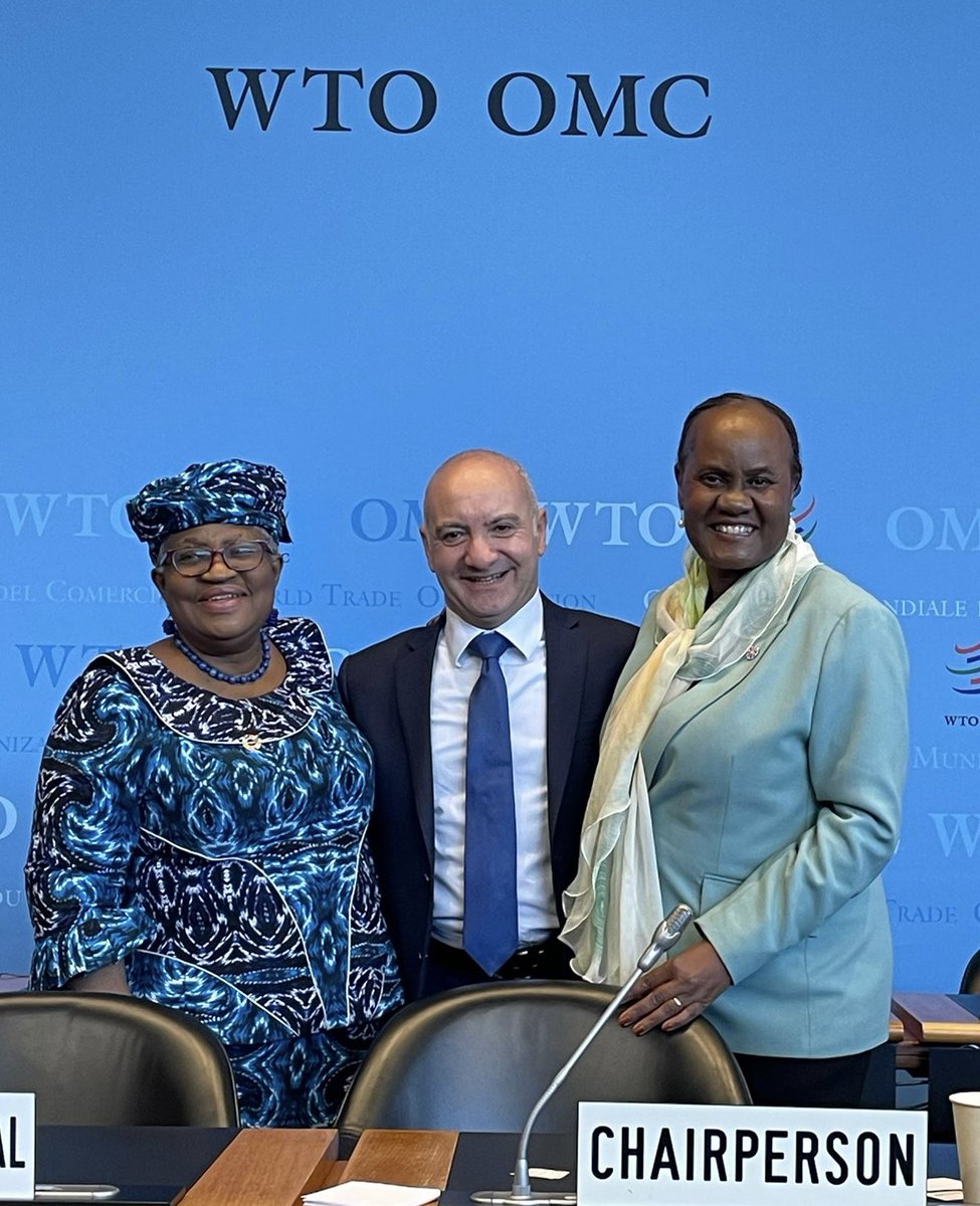 It’s been a privilege of a lifetime to serve as Australia’s 🇦🇺 representative to the @WTO. Thanks for your strong leadership and support, Director-General @NOIweala and General Council Chair @almolokomme. I can confirm the place is in good hands.