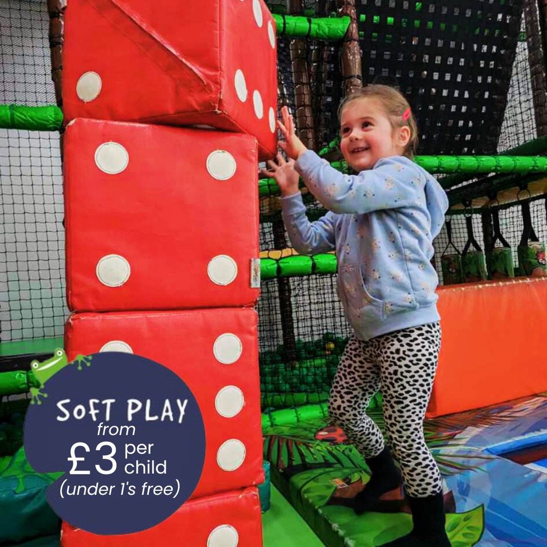 Little Green Frog tweet media