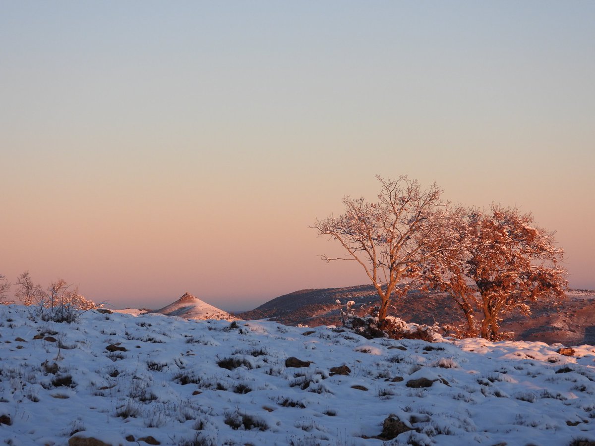 Isaac🌾 tweet media