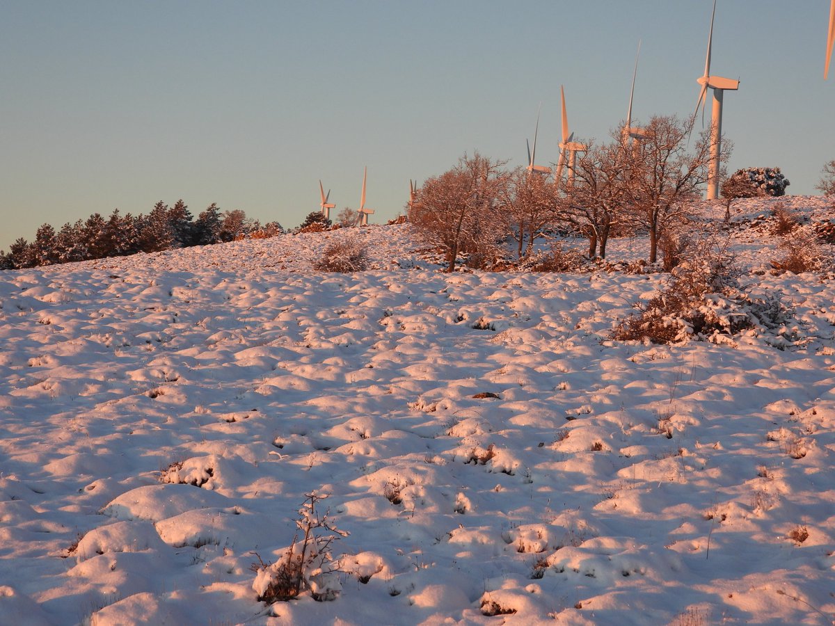 Isaac🌾 tweet media