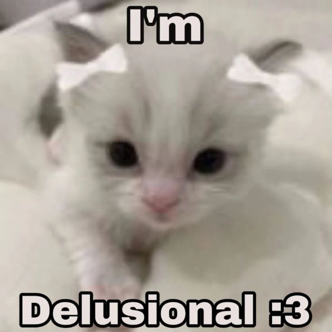 Miau :3 (Cat Posting) 🇵🇸 tweet media