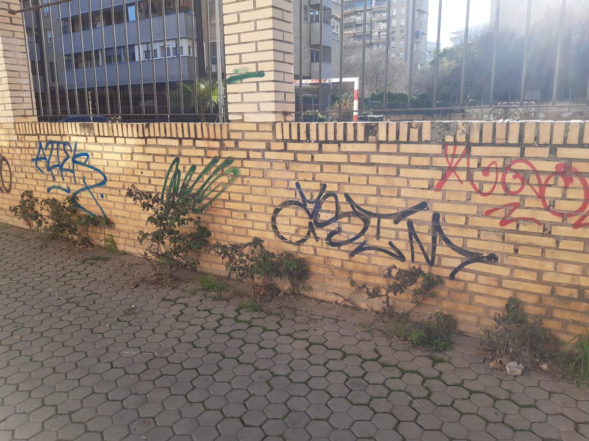 🚨 Imagen deplorable: vegetación invasiva y aceras levantadas. El resumen de cómo <a href="/jlsanzalcalde/">José Luis Sanz</a>, <a href="/angiemorenoram/">Angie Moreno</a> y @AlvaroUrbanoH cuidan las calles de #TúDistrito San Pablo-Santa Justa.

Basta ya de marginar a nuestro Distrito y cumplan con lo prometido.

#SevillaSinAlcalde 🧹