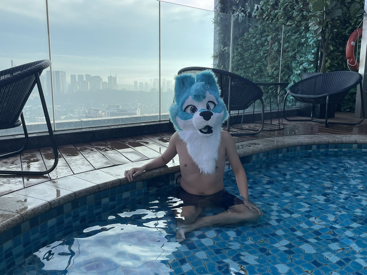 WhiteFangLilWo1's tweet photo. Happy fursuit friday! Just another swimming pool post back in furum 2023! Photo taken by @RynerWolf #fursuitfriday #fursona #furum2023 #furry #photo #wolf #furusiter https://t.co/5BHRAlx2Eg