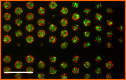 RiviereCharlotte tweet media