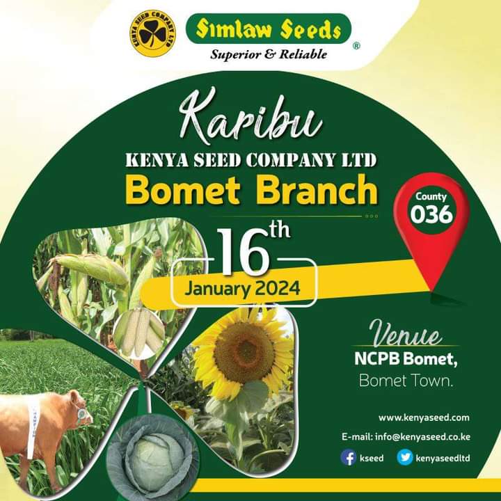 kenyaseedltd's tweet image. CHAMGEI BIIKAB  BOMET

You asked for it and we heard you!

📢 Grand opening of our new branch in Bomet on January 16th!

📌 NCPB Bomet Town 

You don&apos;t want to miss out!

Karibuni sana!🥳🥳🥳
@Simlaw_Seeds
#topqualityseed
#Foodsecurity
#NewBranch