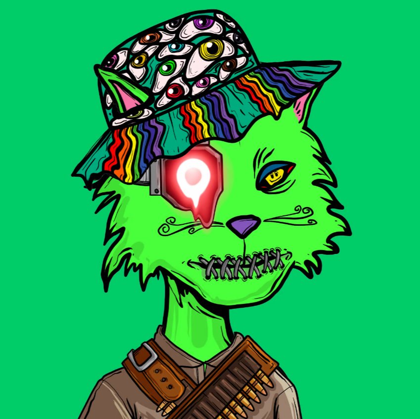 SteveSteed4's tweet image. Hell yeah bro 💯😺🔥🔥🔥 #PK4L