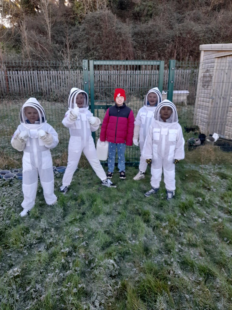 pdcsalternative's tweet photo. Earlier on this week Year 4 couldn't wait to check in with our bees. After a few weeks off we were glad to see they were doing well, even in the cold weather! https://t.co/RwGm8fsalN