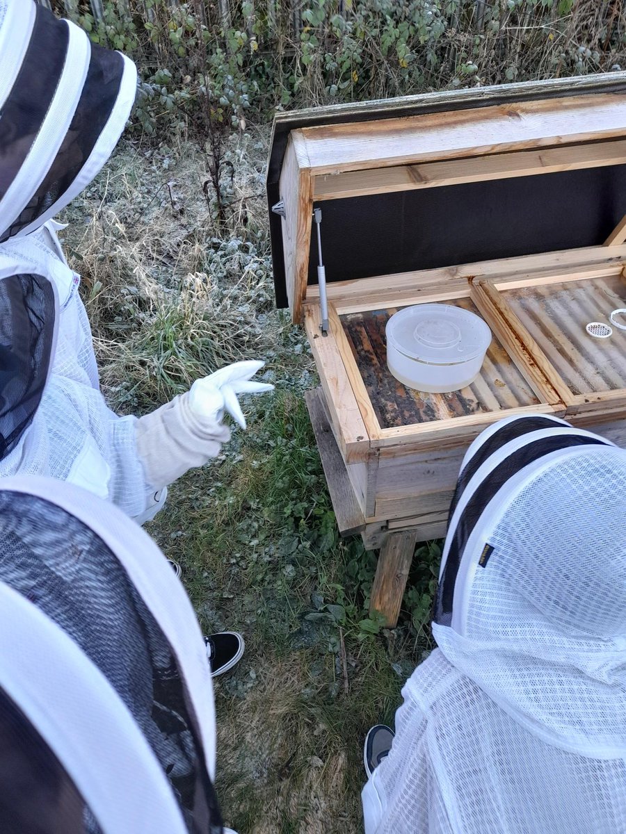 pdcsalternative's tweet photo. Earlier on this week Year 4 couldn't wait to check in with our bees. After a few weeks off we were glad to see they were doing well, even in the cold weather! https://t.co/RwGm8fsalN