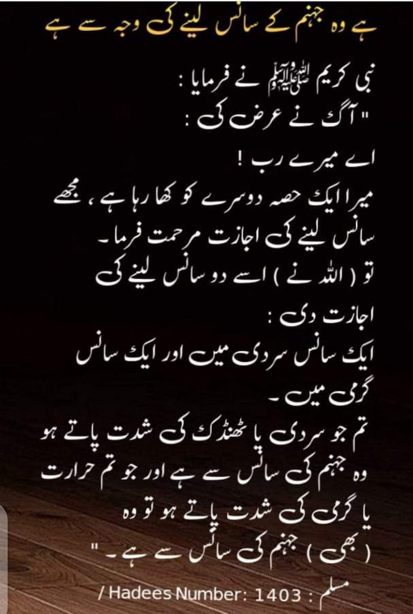 Roshni (@roshni_kanwal) on Twitter photo 