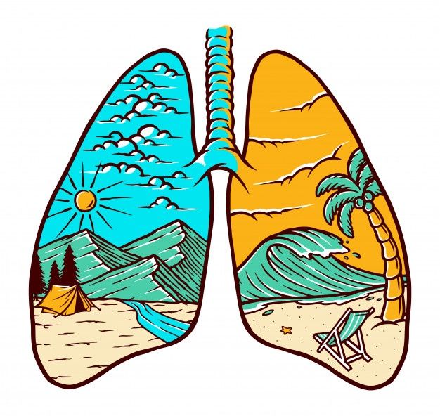 shruti_uf's tweet photo. Engage in physical activity to elevate your lung capacity. You have the power to improve and strengthen your respiratory system. Stay committed to a healthy lifestyle and witness the positive transformation of your body and mind. https://t.co/vT3rav0Fze