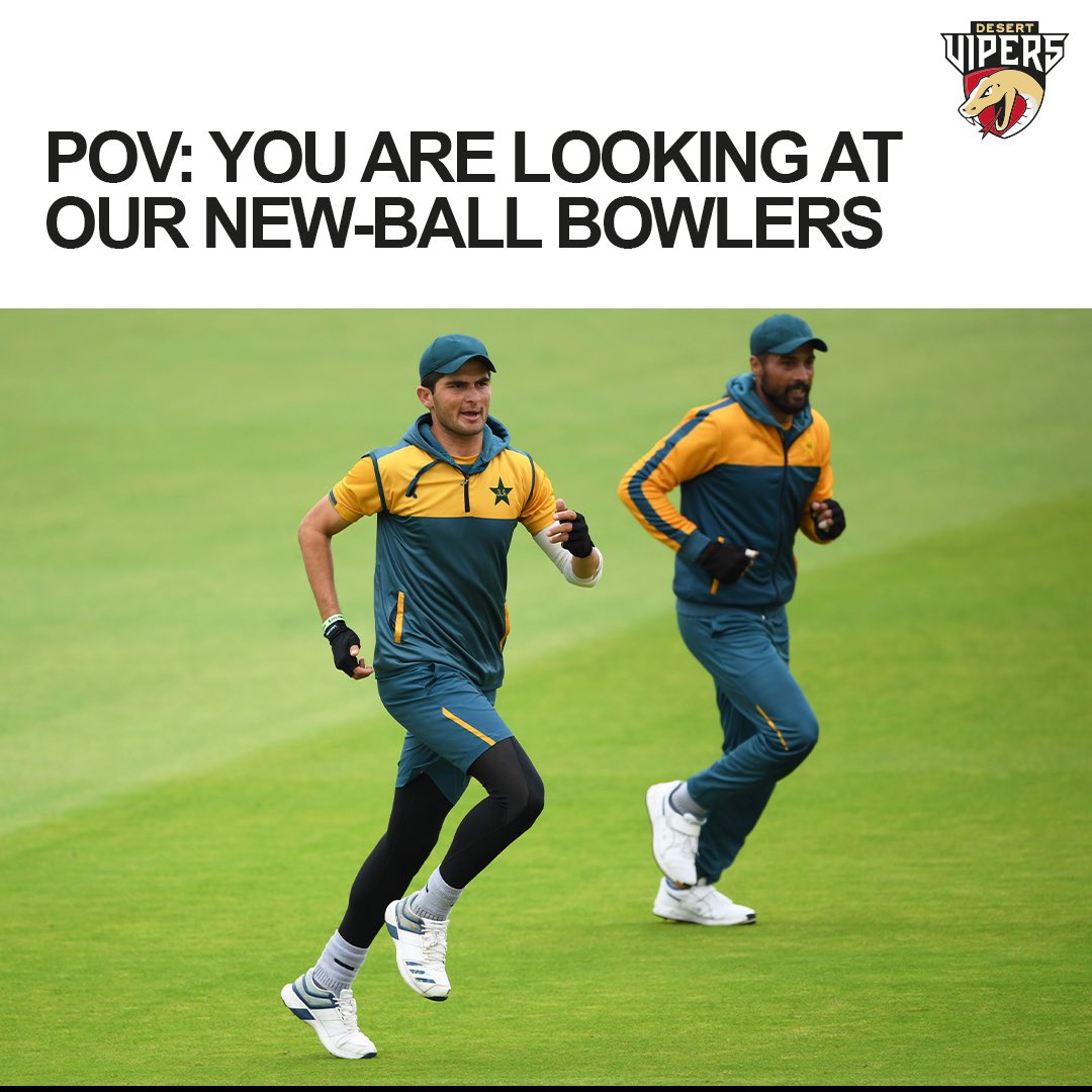 Desert Vipers tweet media