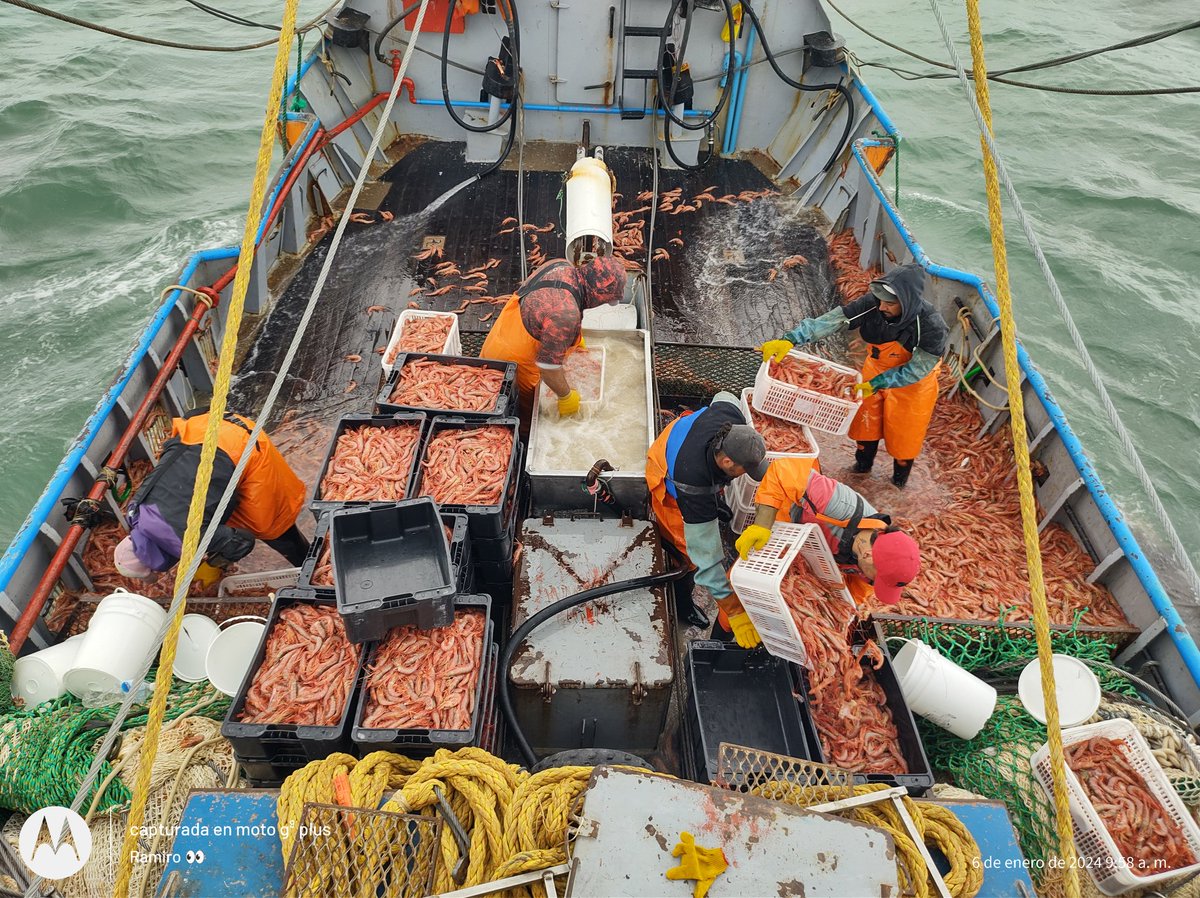 Ramiro32_'s tweet photo. Puerto Rawson!!🇦🇷 🦐 https://t.co/yMIYIL9PcM