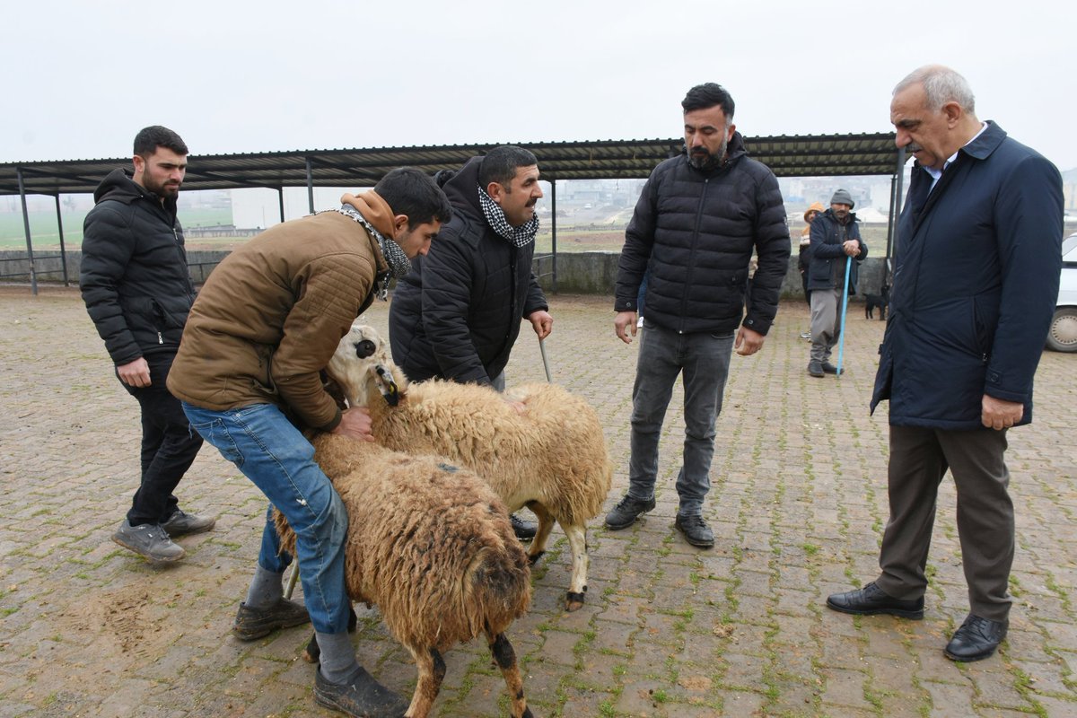 Güzel ve hayırlı bir günün sabahında Belediye Meclisi üyemiz <a href="/DurruNarin/">Mehmet Dürrü Narin</a> ile hayvan pazarındaki  hayvancı esnafımızla bir araya geldik. Kışın soğuğunu sıcak ve dostane sohbetleriyle ısıtan esnaf dostlarımıza hayırlı kazançlar diliyorum.

<a href="/erkankandemir/">Erkan Kandemir</a>
<a href="/bybekirbozdag/">Bekir  Bozdağ</a>
<a href="/adelioglu63/">Ali ihsan Delioğlu</a>