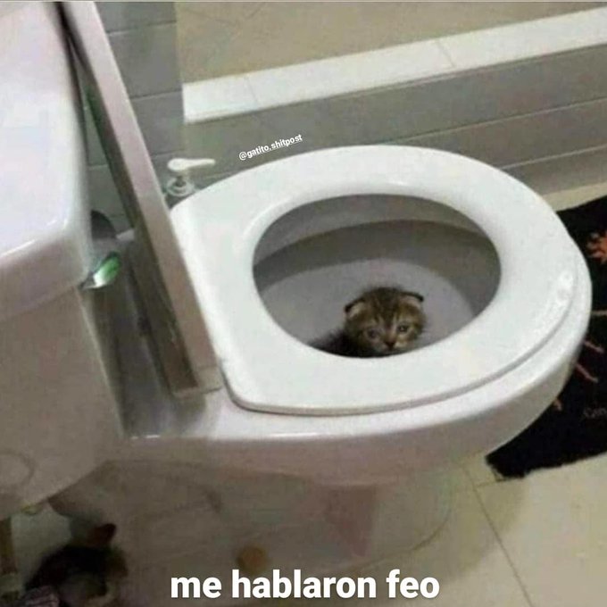 skereunpesado's tweet image. 