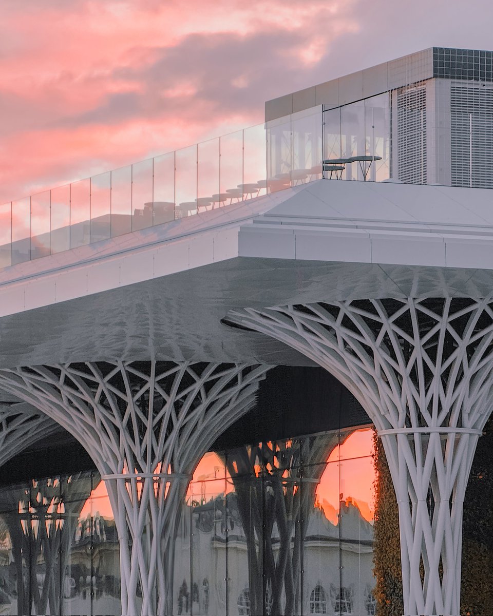 Hashtagalek 📸 Fotograf Aleksander Małachowski tweet media