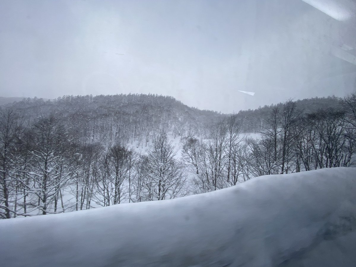 Alice12077's tweet photo. 好想去日本滑雪⛷️
#japan  #北海道 #Hokkaido #雪 https://t.co/mKjceZN7a0