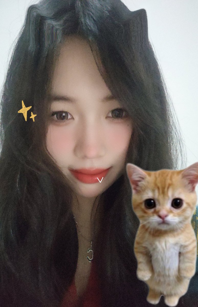 hpp156's tweet image. 🐈