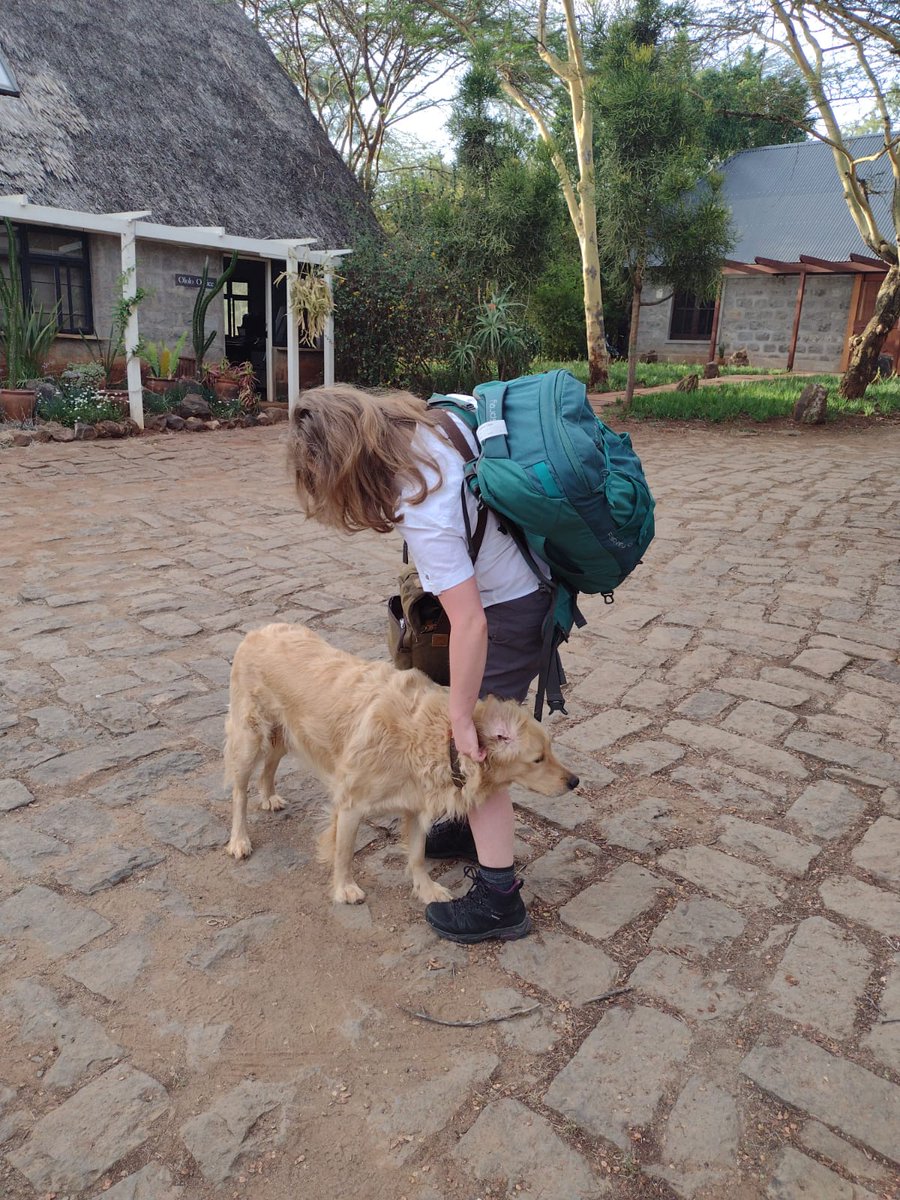 When you leave your #safarilodge and the resident #dog has to say bye 😂