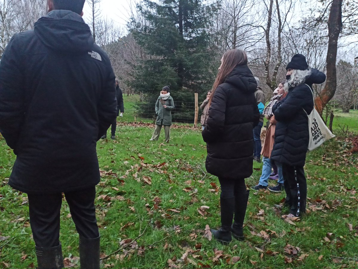 Colegio Edes tweet media