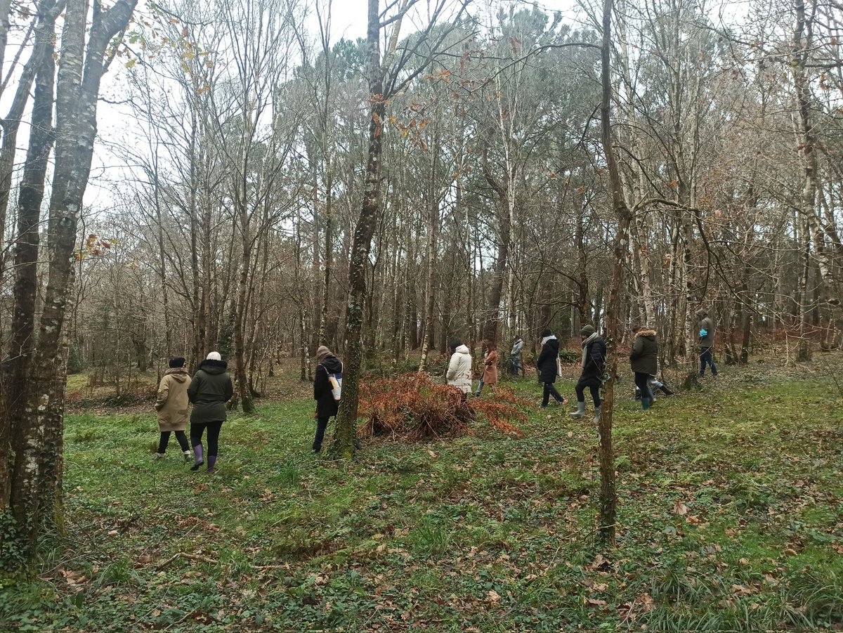 Colegio Edes tweet media