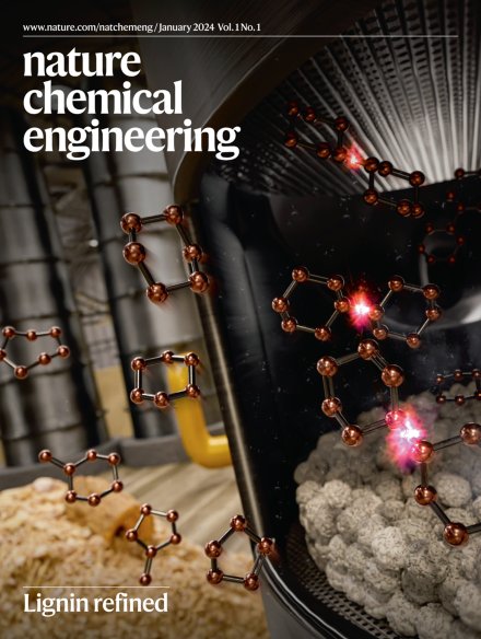 We are delighted to announce that Nature Chemical Engineering is born 🎉. I'm so proud to be part of this editorial team. A big thank you to all who contributed, supported, and keep supporting us throughout this journey! 🙏🏼
Check this out👇🏼
nature.com/natchemeng/vol…