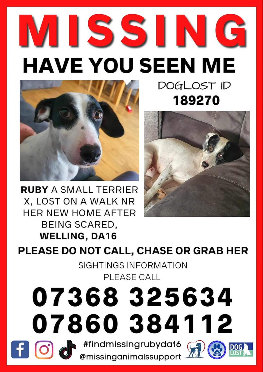 📣Renewed Public Appeal for RUBY. Please RT, we are assisting this amazing family and we need sightings of Ruby. 🔸Someone must know something, has your neighbour got a new dog looking like her? 🔹Any strange barking from a garden or shed? #Welling #DA16 #lostdog