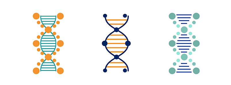 genomicsedu's tweet photo. As humans we’re all unique, yet we are 99.9% the same genetically. Read our blog piece on how that 0.1% difference, our #GenomicVariation, can impact us as individuals. https://t.co/6rT3cuHAmm https://t.co/s9rl6YHKwV