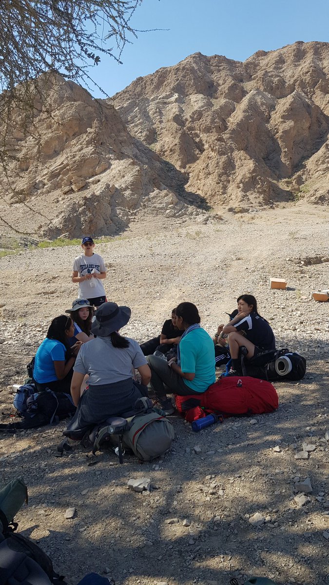 DC Activities tweet media