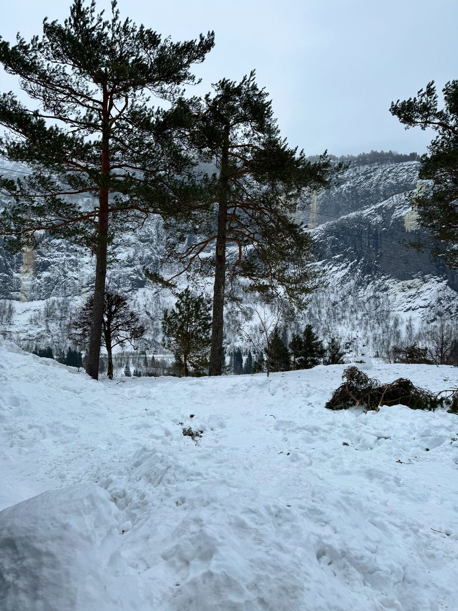 BasWas's tweet photo. @martijnbrant Well, I know my hands are cold. 😁😉🇳🇴 https://t.co/48DRIN6woX