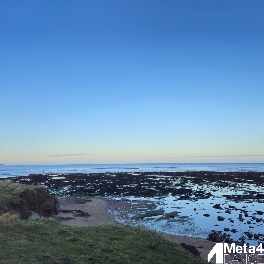 Meta4Dance Company tweet media