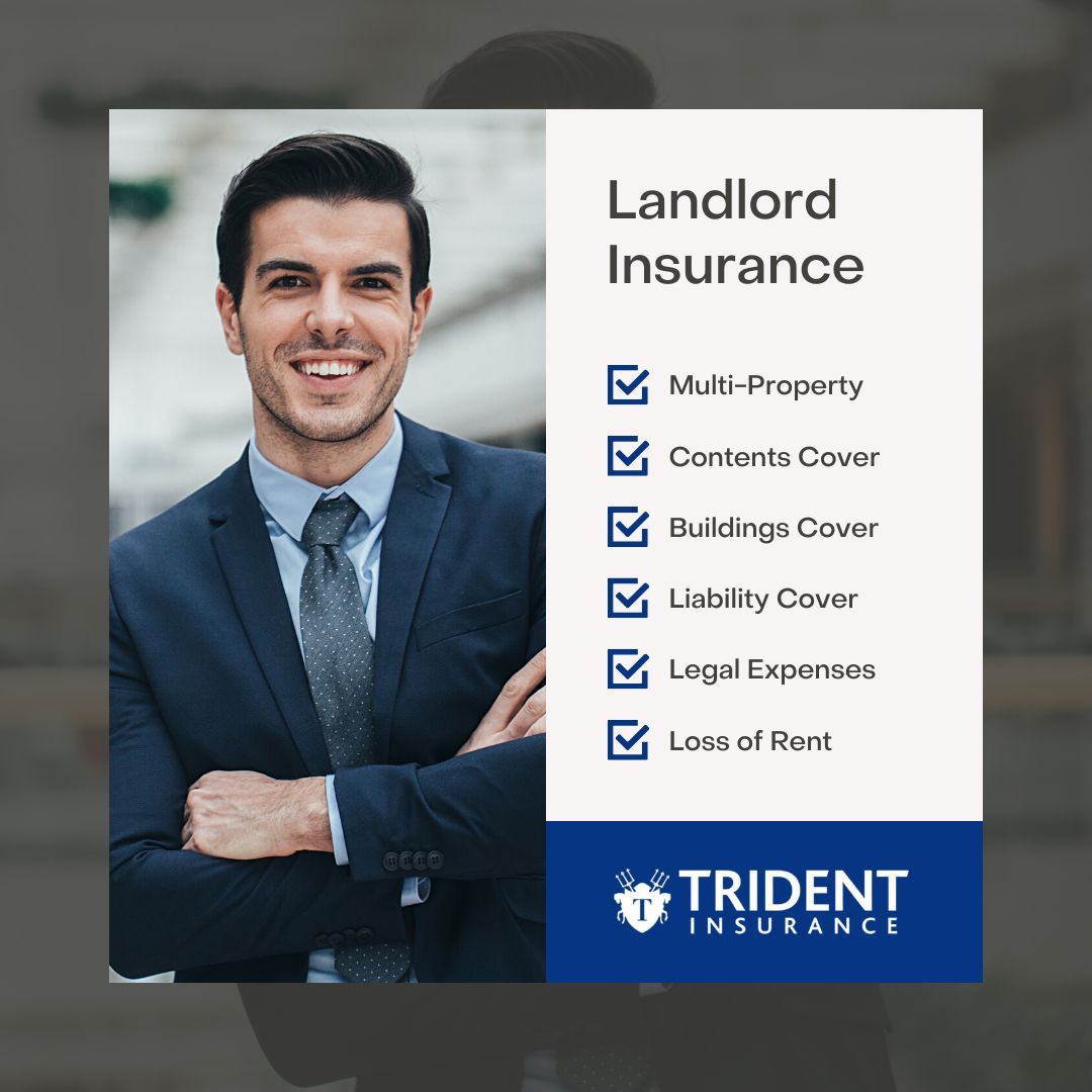 TheRealTrident's tweet photo. Looking for landlord insurance?

Find out more and get started ➡️ https://t.co/13VQ9mUbOa https://t.co/EBAguFEbHz