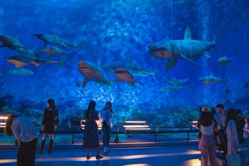 Seesadea (@seesadea144816) on Twitter photo 