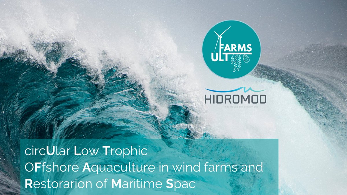 Meet our partner #HIDROMOD,! With 30+ years of #hightech consultancy experience, they support monitoring, offer a user-friendly platform, and map project activities for seamless #OceanMultiUse implementation. 
👉🏻Discover more: tinyurl.com/5feyzt6x
#ULTFARMS #HiSeaplatform