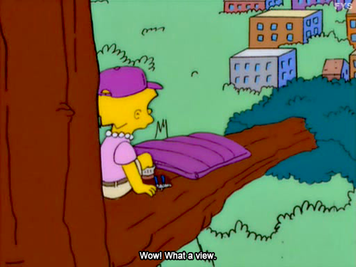 Una activista llamada Julia Butterfly Hill vivió en un árbol de más de 1,800 años en California por 738 días, diciembre de 1997 a diciembre de 1999, para evitar que lo cortaran. Incluso existe un capítulo de los Simpson “Lisa y su amor por los árboles”, en honor a Julia.