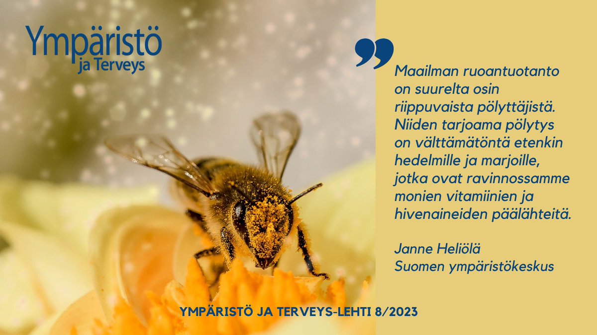 YTerveyslehti's tweet image. Ympäristö ja Terveys-lehdessä 8/2023 Janne Heliölän @SYKEinfo artikkeli &quot;Kansallinen pölyttäjästrategia vahvistaa pölyttäjien suojelua&quot;. ymparistojaterveys.fi
#luonnon_monimuotoisuus #pölyttäjät #pölyttäjästrategia #luonto #ympäristö