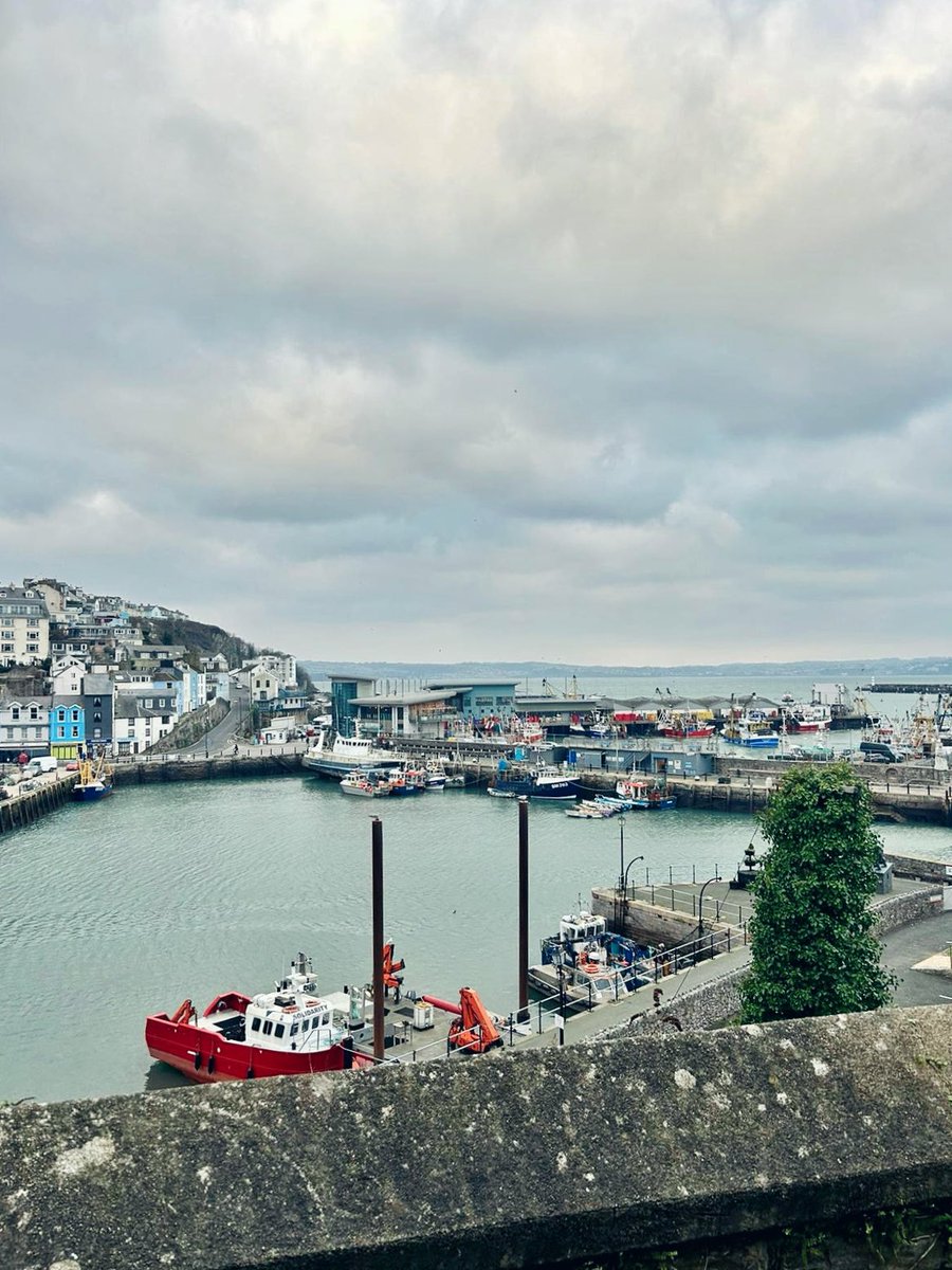noahsbristol's tweet photo. Beautiful Brixham yesterday to check out the daily catch! 🐟
This is the hake and it doesn’t get any fresher…🩵
#cheftrip #brixhammarket #brixhamharbour https://t.co/C6mScCbISE