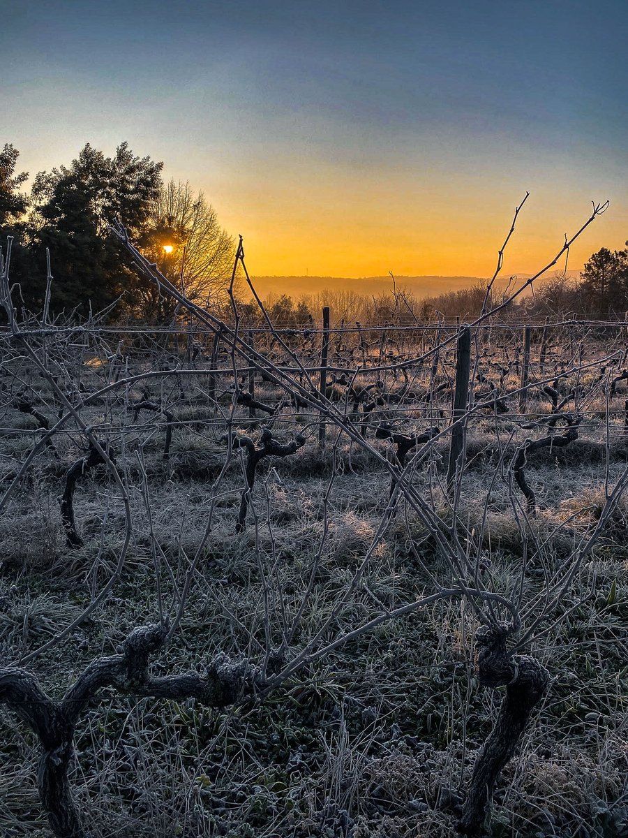 L'hiver s'installe dans notre #vignoble et nous offre de superbes #paysages 🤩

#vigneronsardechois #emerveillesparlardeche #hiver2024 #vignobleardeche