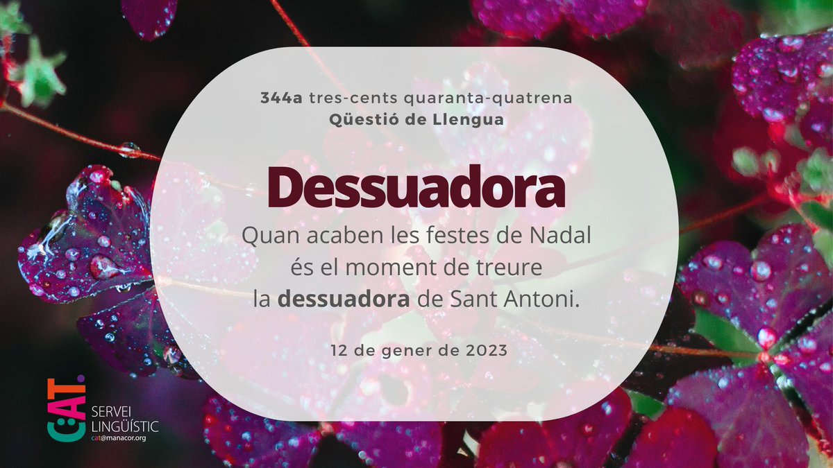 CAT Manacor tweet media