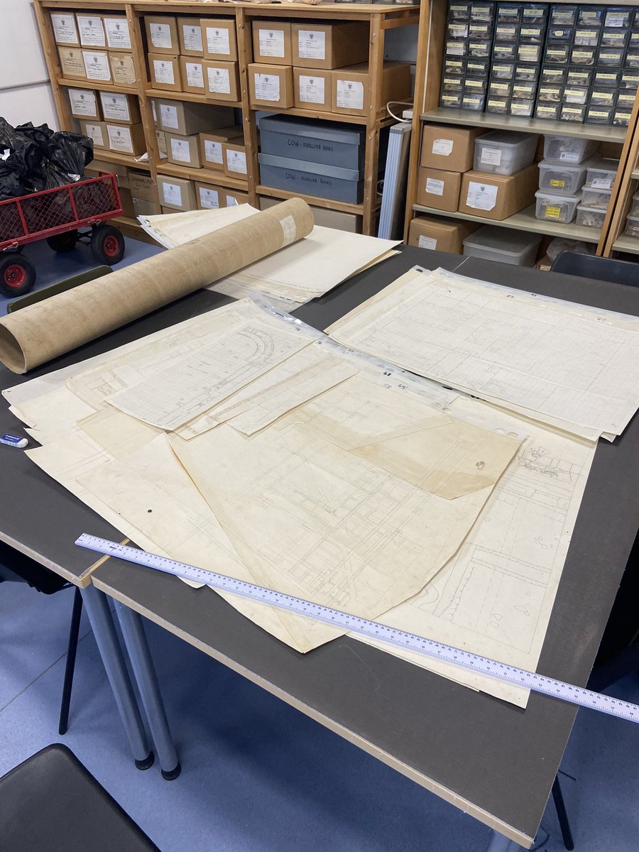 BUARC_Archaeo's tweet photo. @romanpalace in the house! Placement student Keir is going to digitise and geolocate the original 1960s excavation plans. If he can figure out the imperial to metric scale conversion… https://t.co/XVZ9KQ0rND