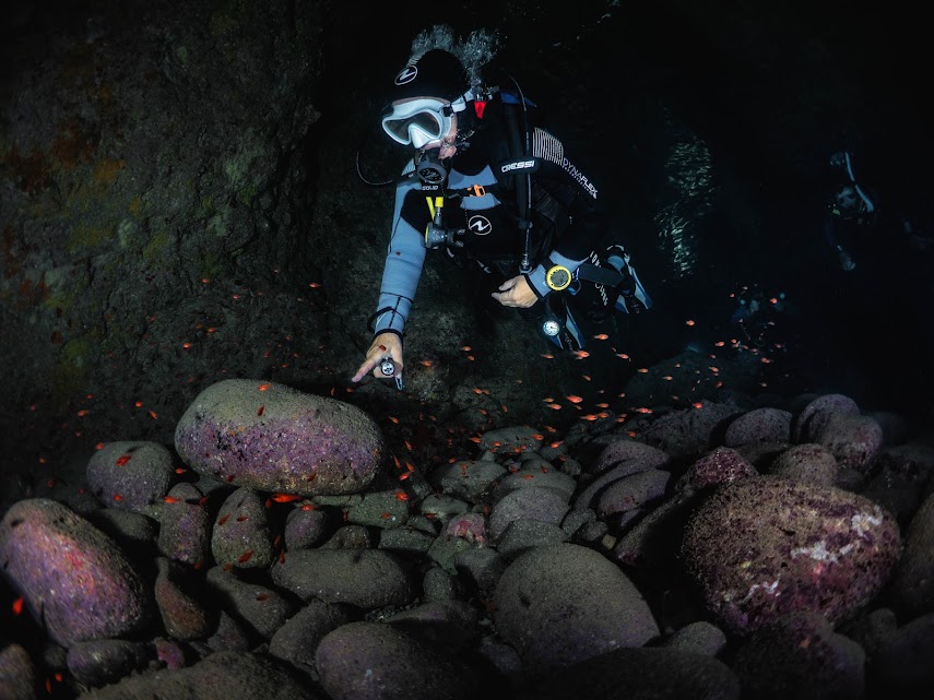 cabodegata's tweet image. parquenatural.com/veinticinco-an… 2024: Un año más con vosotr@s