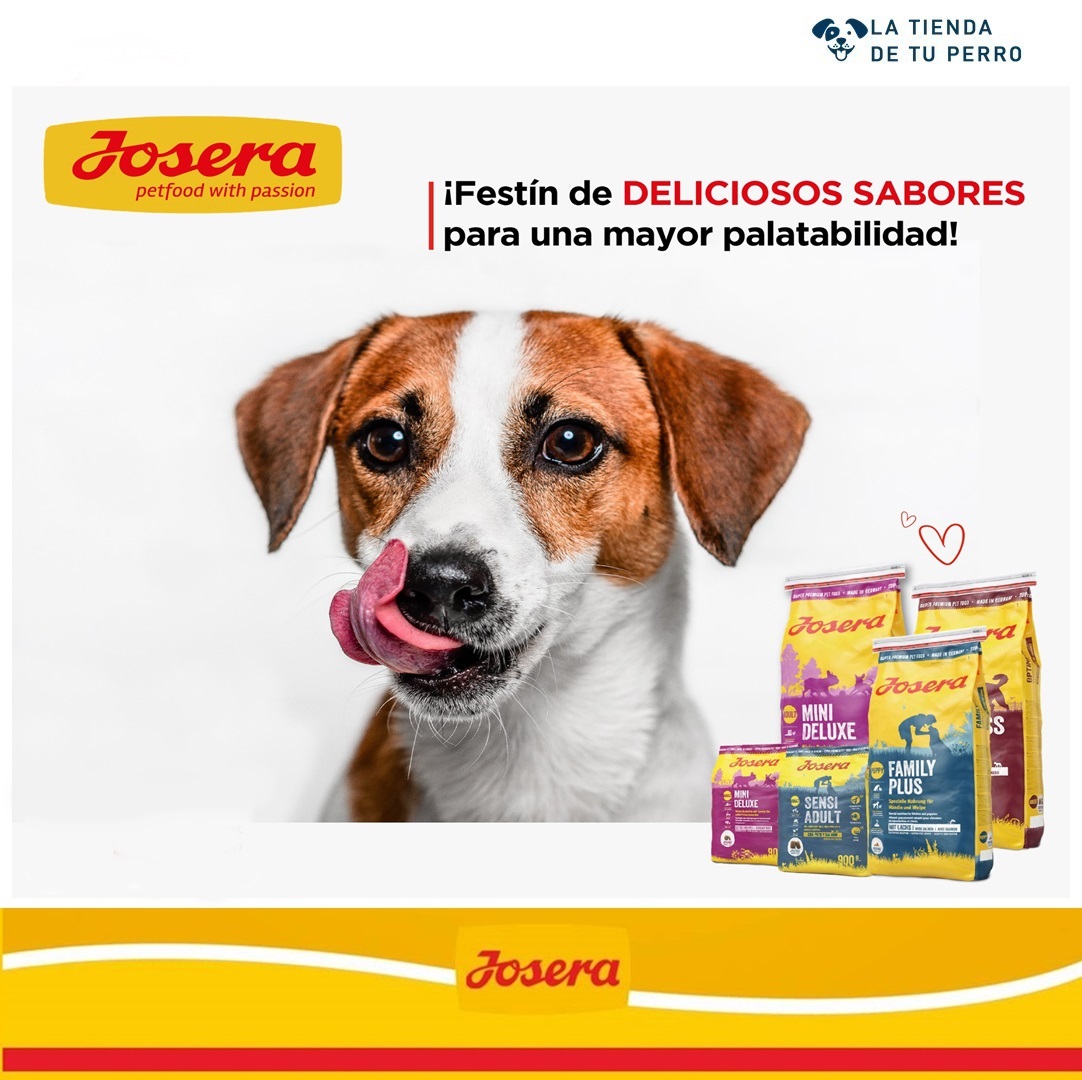 Nuestroperro's tweet photo. ¡La alimentación Josera es un auténtico festival de sabores para tu perro!  Con sus cuatro gamas, Mini, Special, Daily y Nature, ¡no hay perro que se resista!

¿Quieres probar los deliciosos sabores de Josera? ¡No te preocupes! Puedes encontrarlos en la https://t.co/EGe7GVY23G, https://t.co/bHfvaDdV79