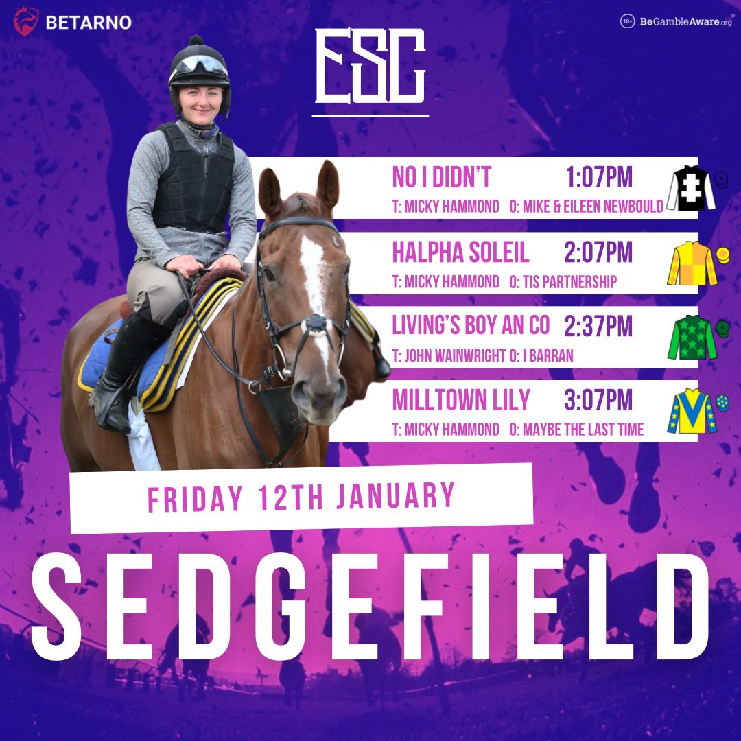 emsmithchaston's tweet photo. Just missed out yesterday, but I head to @SedgefieldRace today with a good book of rides for @MHammondRacing &amp; @JSWRacing 🏇🏼

Hoping HALPHA SOLEIL can be as good as he was on Boxing Day! 

@BetarnoSports | 🔞, https://t.co/TTpKpN6M25 https://t.co/d0eBebGoIG